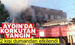 Aydın'da korkutan yangın