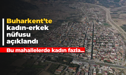 Buharkent'te kadın-erkek nüfusu açıklandı