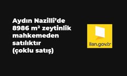 Aydın Nazilli'de 8986 m² zeytinlik mahkemeden satılıktır (çoklu satış)