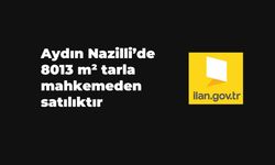 Aydın Nazilli'de 8013 m² tarla mahkemeden satılıktır