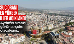 Suç oranı en yüksek olan iller açıklandı!  Aydın'ın sıralaması şoke etti