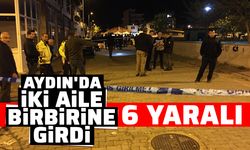 Aydın'da iki aile birbirine girdi: 6 yaralı