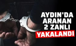 Aydın'da aranan 2 zanlı yakalandı