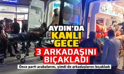Aydın'da kanlı gece: 3 arkadaşını bıçakladı