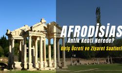 Aydın’ın UNESCO Mirası Afrodisias Antik Kenti Nerede? Giriş Ücretli Mi? Gizemli Kentin Tarihi!
