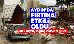 Aydın'da fırtına etkili oldu, çatı uçtu, ağaç duvarı yıktı