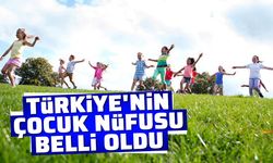 Türkiye'nin çocuk nüfusu belli oldu