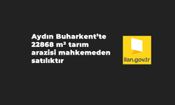 Aydın Buharkent'te 22868 m² tarım arazisi mahkemeden satılıktır