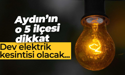 Aydın'ın o 5 ilçesinde elektrik kesilecek; Söke, Didim, Çine, Bozdoğan, Koçarlı dikkat!