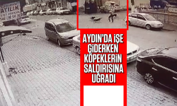 Aydın'da işe giderken köpeklerin saldırısına uğradı