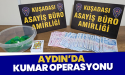 Aydın'da kumar operasyonu