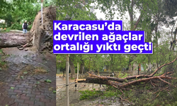 Karacasu'da devrilen ağaçlar ortalığı yıktı geçti