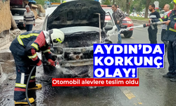 Aydın'da korkunç olay! Otomobil alevlere teslim oldu