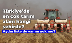 Türkiye'de en çok tarım alanı hangi şehirde? Aydın liste de var mı yok mu?