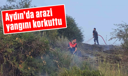 Aydın'da arazi yangını korkuttu