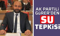 AK Partili Gürer’den su tepkisi