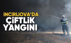 İncirliova’da çiftlik yangını
