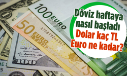 Döviz haftaya nasıl başladı: Dolar kaç TL, Euro ne kadar?