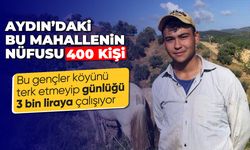 Aydın'da köyünü terk etmeyen gençler günlük 3 bin liraya çalışıyor