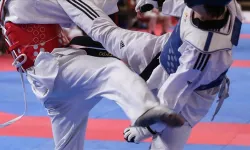 Türkiye, Avrupa Tekvando Şampiyonası'na damga vurdu