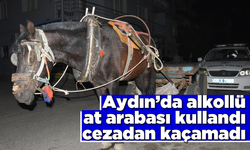 Aydın'da alkollü at arabası kullandı, cezadan kaçamadı