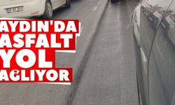 Aydın'da asfalt yol ağlıyor