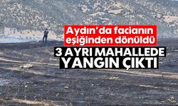 Aydın'da facianın eşiğinden dönüldü! 3 ayrı mahallede yangın çıktı