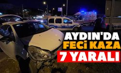 Aydın'da feci kaza: 7 yaralı
