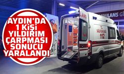 Aydın'da 1 kişi yıldırım çarpması sonucu yaralandı