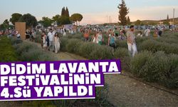 Didim Lavanta festivalinin 4.sü yapıldı