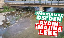 Umursamaz DSİ’den Aydın imajına leke