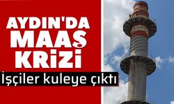 Aydın'da maaş krizi: İşçiler kuleye çıktı