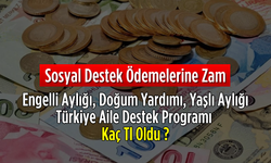 Sosyal Destek Ödemelerine Zam! Engelli Aylığı, Yaşlı Aylığı, Doğum Yardımı, Türkiye Aile Destek Programı Kaç Tl Oldu ?