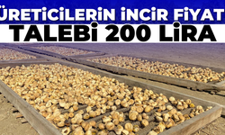 Üreticilerin incir fiyatı talebi 200 lira