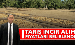 TARİŞ incir alım fiyatları belirlendi