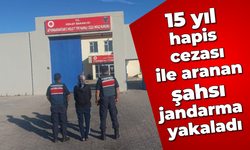 15 yıl hapis cezası ile aranan şahsı jandarma yakaladı