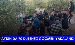 Aydın’da 70 düzensiz göçmen yakalandı