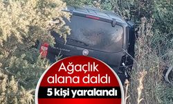 Ağaçlık alana daldı, 5 kişi yaralandı