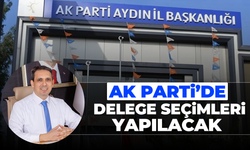 AK Parti'de delege seçimleri yapılacak