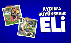 Aydın'a büyükşehir eli