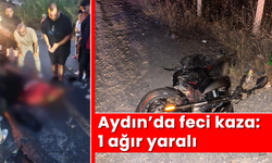 Aydın'da feci kaza: 1 ağır yaralı