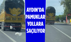 Aydın'da pamuklar yollara saçılıyor