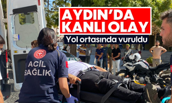 Aydın'da silahlar konuştu