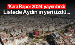 'Kara Rapor 2024' yayımlandı; Listede Aydın'ın yeri üzdü...