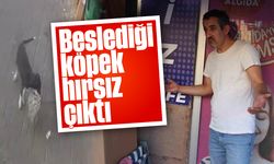 Beslediği köpek hırsız çıktı