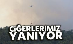 Ciğerlerimiz yanıyor!