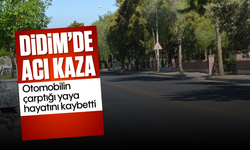 Didim'de acı kaza: Otomobilin çarptığı yaya hayatını kaybetti