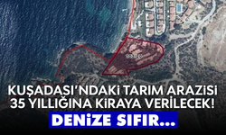 Kuşadası'ndaki tarım arazisi 35 yıllığına kiraya verilecek! Denize sıfır...