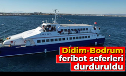 Didim-Bodrum feribot seferleri durduruldu