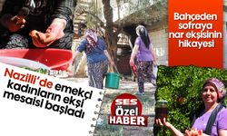 Nazilli'de emekçi kadınların ekşi mesaisi başladı